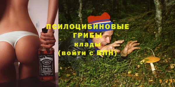 бошки Саяногорск